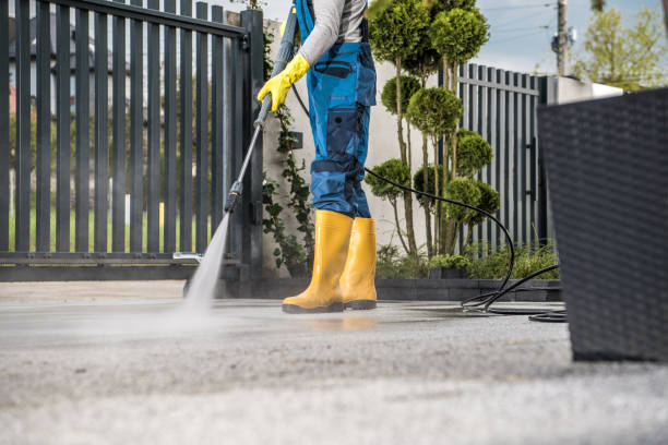 Best Roof Washing  in Linden, CA